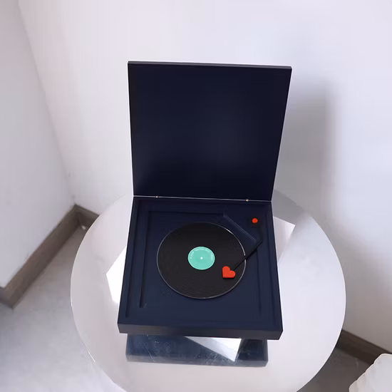 Kabelloser Karaoke-Mikrofon-Bluetooth-Lautsprecher, KTV-Player mit tanzenden LED-Lichtern